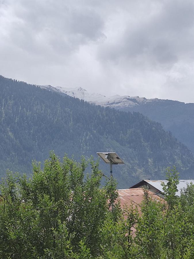 Woods Inn Mountain View Manali Eksteriør billede